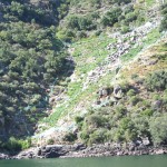 RIOS ribeira sacra 3