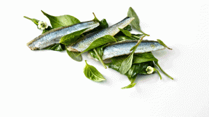 NERUA--anchoas,-hojas-de-pmiento-de-Anglet-y-alga-de-tierra06